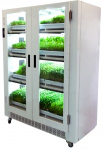 Commercial Urban Cultivator