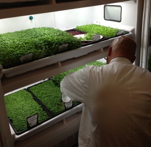 Chef with Urban Cultivator
